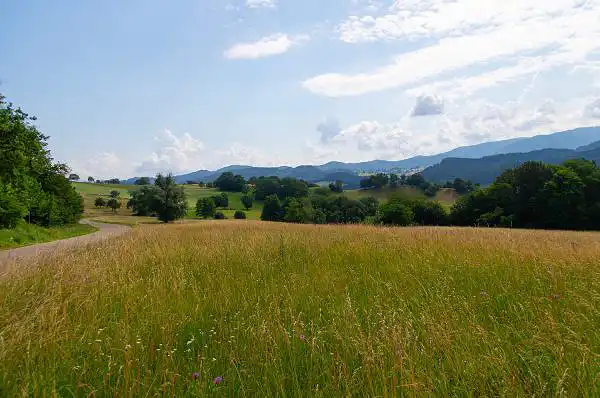 Wittnau bei Freiburg